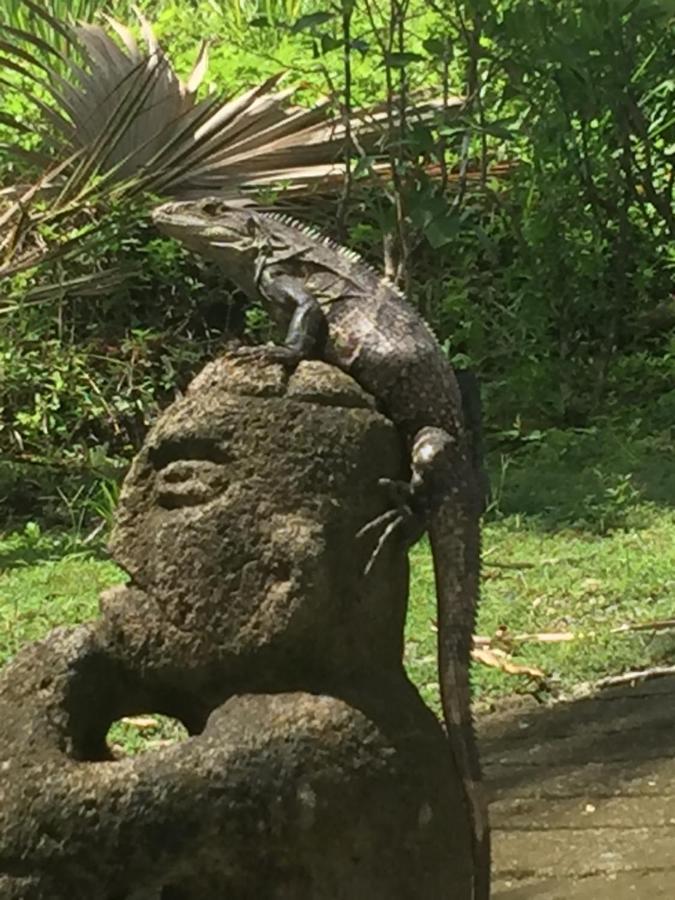 ホテル Puesta Del Sol ケポス エクステリア 写真
