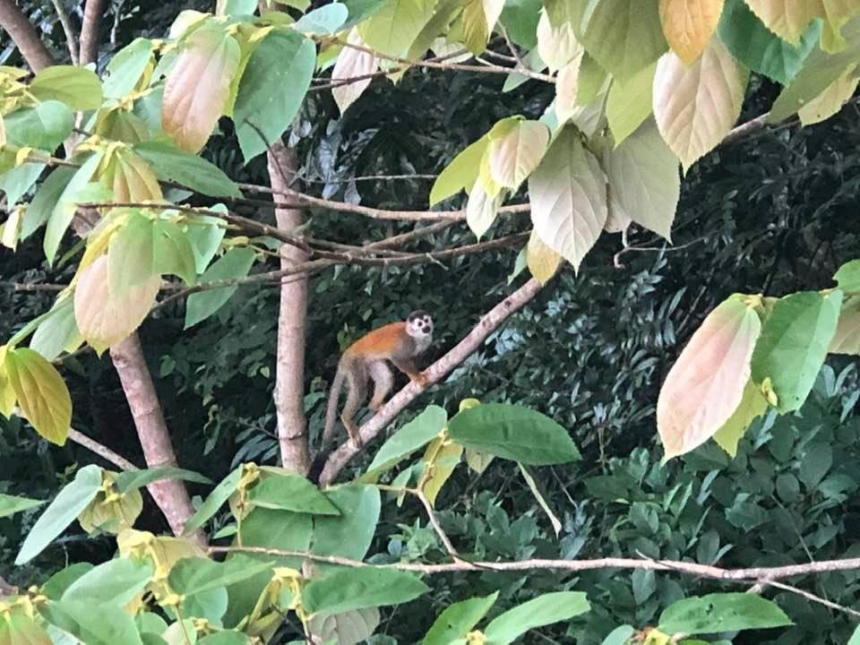 ホテル Puesta Del Sol ケポス エクステリア 写真