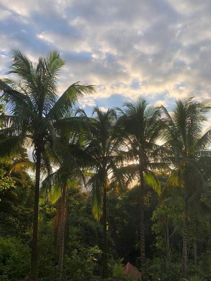 ホテル Puesta Del Sol ケポス エクステリア 写真